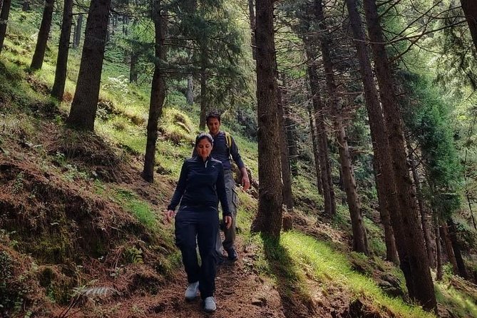 Top Tibba Trek - Mussoorie - Getting to the start: Mall Road and the practical schedule