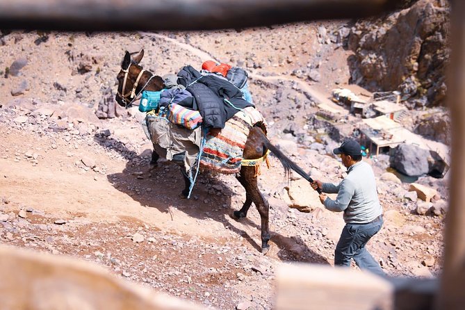 Toubkal Trekking 2 Days - Who This Trek Is Best For (and Who Should Think Twice)