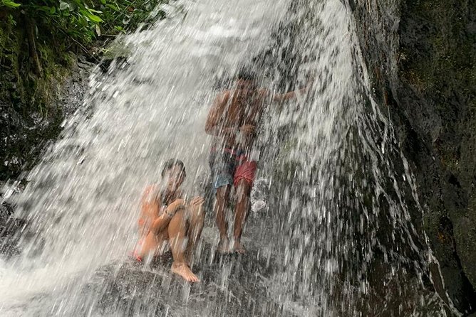 TOUR PACKAGE (jungle trekking, taxi, Room) 4 DAYS 3 NIGHTS in BUKIT LAWANG - Transfers from Medan: private car makes the schedule feel sane