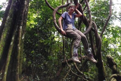 TOUR PACKAGE (Taxi, Room, Jungle Trekking) 3 Days in BUKIT LAWANG - Day 2 in Gunung Leuser: the orangutan-focused rainforest trek