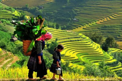 Trek Adventure in Ta Van Village, Lao Chai - From Sapa to Y Linh Ho: Rice Terraces Right Away