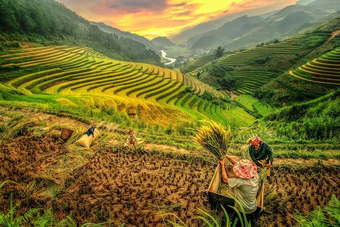 Trek Adventure in Ta Van Village, Lao Chai - Price and Value: Why $29 Can Still Feel Like a Deal