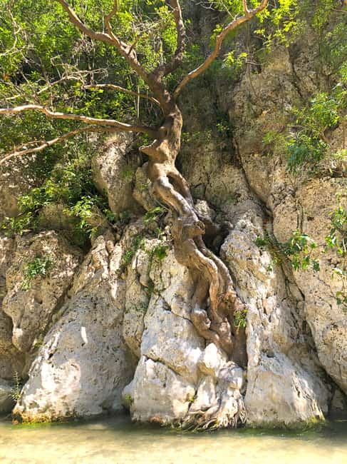 Trek at Acherontas river the gate of the underworld - River-bed trekking through the gorge’s cool rock clefts