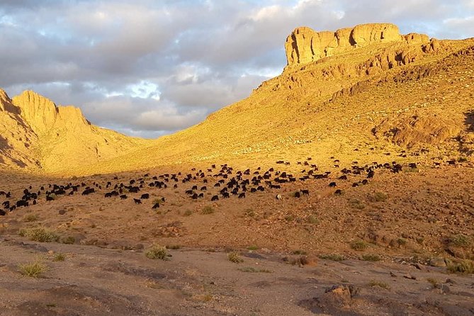 Trek Jebel Saghro Morocco 8 Days - Day 1 in Marrakech: hotel or riad and an easy arrival plan