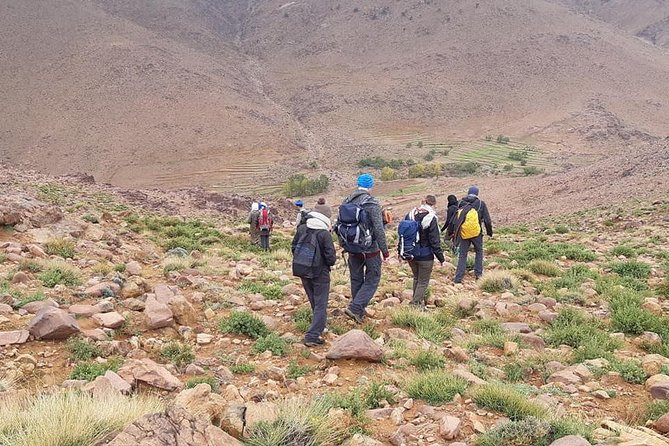 Trek Jebel Saghro Morocco 8 Days - Day 3 first day of trekking: Anti-Atlas oases to Saghro volcanic slopes