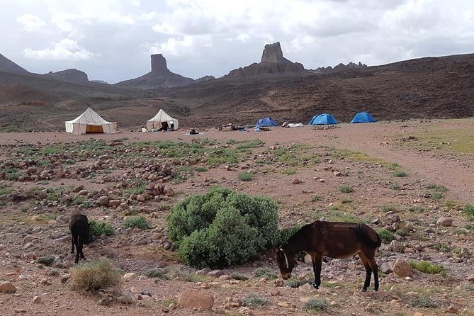 Trek Jebel Saghro Morocco 8 Days - Day 5 Afourar Valley and Ali’s Gate: tribe country and rock formations