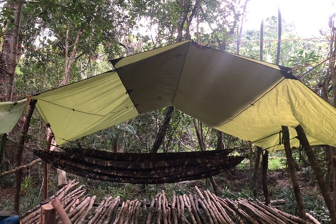 Trek Nui Chua Experience 2D1N, Night in the Jungle - Vinh Hy Bay - Day 1: The 3h30 Uphill to Camp Through Three Forest Types