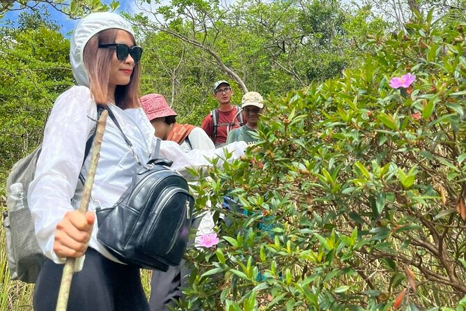 Trek Nui Chua Experience 2D1N, Night in the Jungle - Vinh Hy Bay - Cost and Value: Why $102.80 Can Make Sense Here