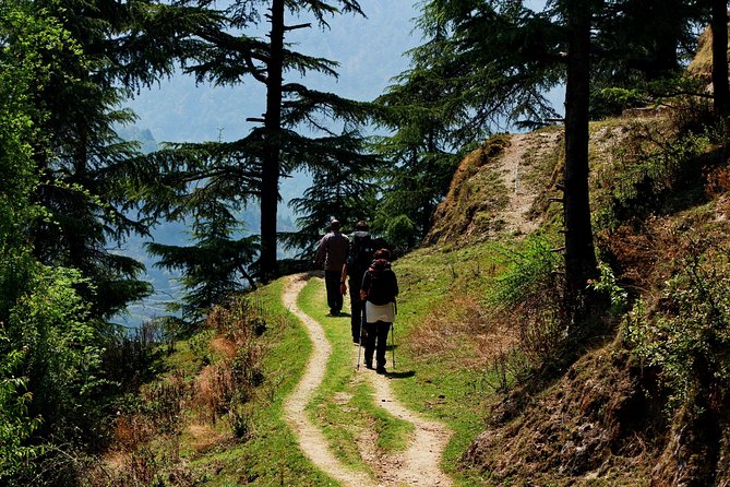 Trek's around Mussoorie - Key things to know before you go