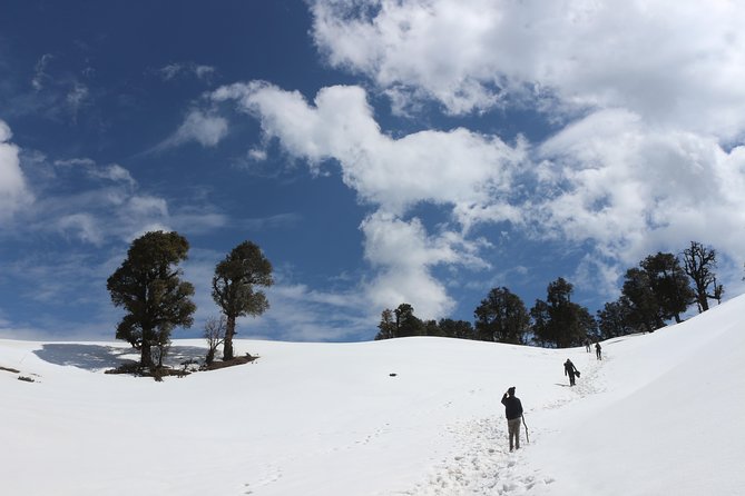 Trek's around Mussoorie - Why this Mussoorie trek is worth swapping for the usual loop