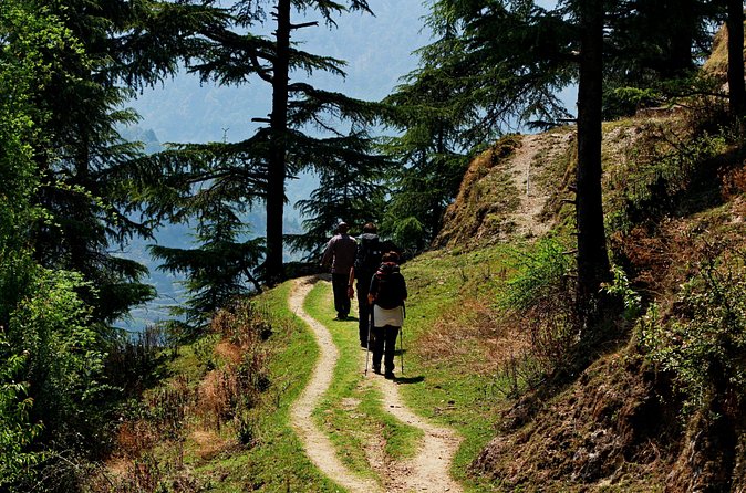 Trek's around Mussoorie - Jungle cooking over a fire stove: why it’s more than a gimmick