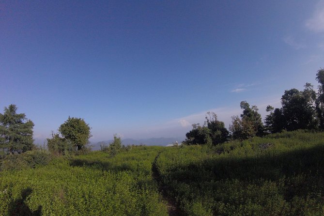 Trek's around Mussoorie - Price and value: $34 for guide time plus entry plus cooking