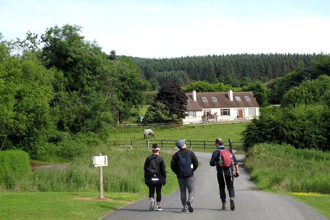 Trek the Tombs and Trails in the Dublin Mountains - Wild berries in season: a small break that changes how you remember the hike
