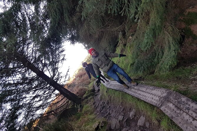 Trek the Tombs and Trails in the Dublin Mountains - The return bus: one more route to keep the day feeling fresh