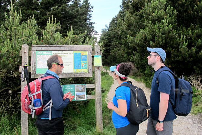 Trek the Tombs and Trails in the Dublin Mountains - Price and value: is $180.44 worth it?