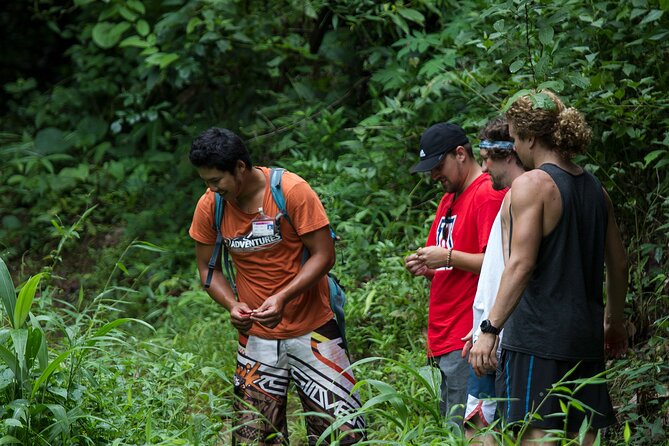 Trek to a Jungle Waterfall - Why This 10-Metre Jungle Waterfall Works