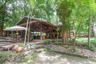 Trek to a Jungle Waterfall - The Waterfall Stop: Swim Time and the Smart Choice to Change First