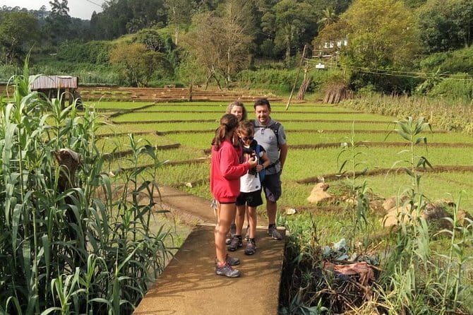 Trek to Little Adam's Peak and Nine Arches Bridge In Ella - Little Adam’s Peak: why this climb feels worth your shoes