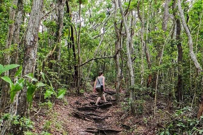 Trek Tours Hiking Experience in Antigua - Heat, Footwear, and Trail Reality: What I’d Pack