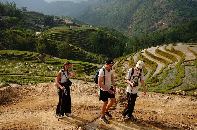 Trekking 1 circle the local village to admire Muong Hoa valley - Hau Thao to Su Pan: Lunch, Rice Fields, and a Homestay Night