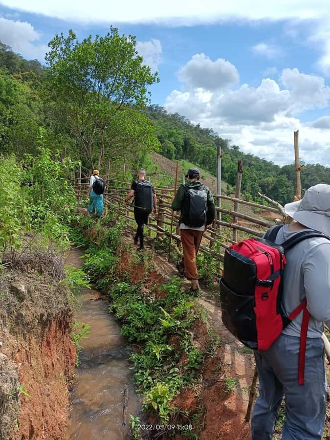 Trekking 2 Days 1 Night+Rice fields+Bamboo Rafting - Day Two Morning Trek, Coffee, and the Jungle Waterfall Reset