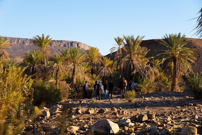 Trekking 8 days in the Moroccan desert from Marrakech - Camel-borne bags: the genius idea that saves your back