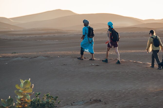 Trekking 8 days in the Moroccan desert from Marrakech - Leaving Ouarzazate and heading toward Zagora: the Atlas-to-desert transition