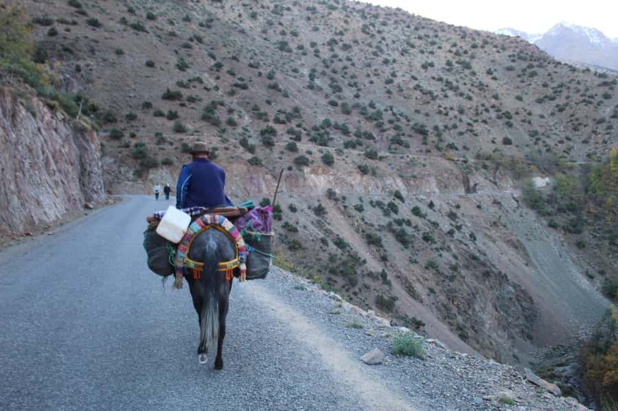 Trekking and Hiking in Morocco 2 Day trek in Atlas Mountains - Who Should Book This Trek (And Who Might Want Another Option)