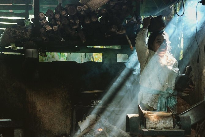 Trekking and Sightseeing tour with lunch - Taro Village and Delodsema: the local Bali you don’t rush through