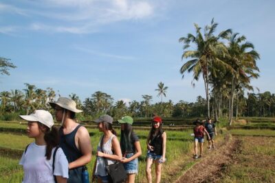 Trekking and Sightseeing tour with lunch - Balinese lunch over rice paddies: included, and worth planning around