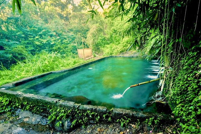 Trekking and Sightseeing tour with lunch - Terrace River Pool Swing and the luwak coffee plantation