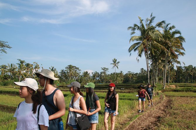 Trekking and Sightseeing tour with lunch - Balinese lunch over rice paddies: included, and worth planning around
