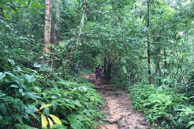Trekking at the Monk Trail and Doi Suthep Temple Private Tour - Price and value for a private day at $125.65