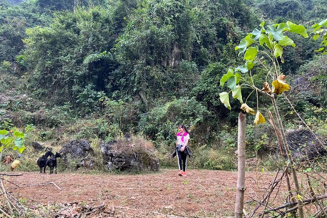 Trekking Ban Gioc Waterfall to Hidden Village on Unique Route - Comfort and logistics that actually affect your day