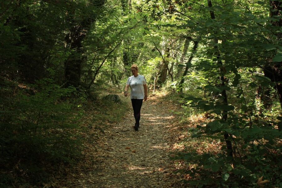 Trekking day at Vikos Gorge for all - Key highlights you should know