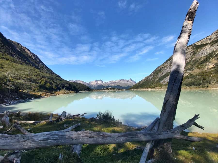 Trekking Esmeralda Lagoon - The hike itself: from peat bog to lenga forest to the lagoon