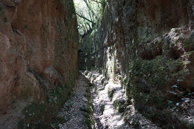 Trekking Excursion History and Nature Necropolis of Norchia from Rome - Packed lunch with local products, water, and wine