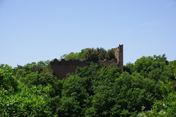 Trekking Excursion History and Nature Necropolis of Norchia from Rome - Necropoli di Norchia: tombs, canyon descent, and forest climbing