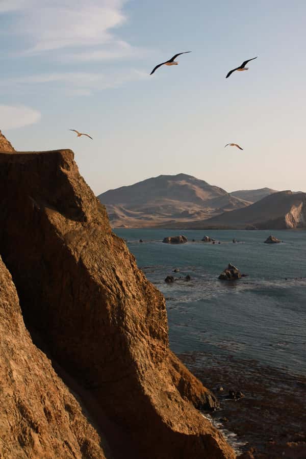 TREKKING GOLDEN SHADOWS - The Walk Through Salar de Otuma, Playón, and Playa Mendieta