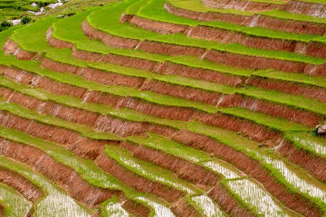 Trekking, Hiking And Tours Madagascar - Sacred Mountains Near Ambohimahamasina: What This Trek Is Really About