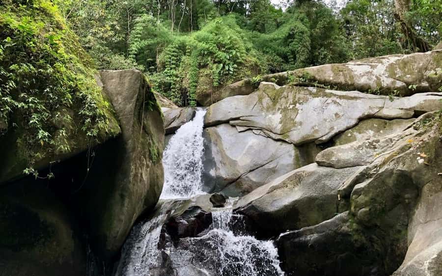 Trekking History and Indigenous Heritage in Minca + Cacao & Coffee + Waterfall - Walking the Paths with Tayrona Heritage in the Background