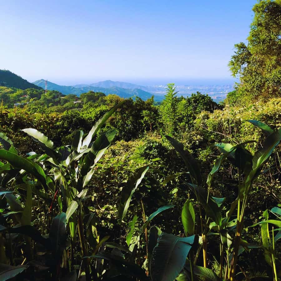 Trekking History and Indigenous Heritage in Minca + Cacao & Coffee + Waterfall - What to Bring: The Stuff That Makes the Day Easier