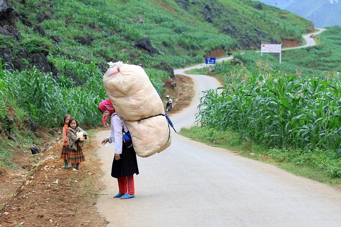 Trekking In Ha Giang 5 Days - Group setup, guide quality, and why “licensed English speaking” matters