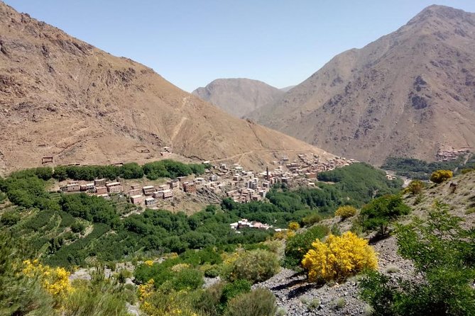 Trekking in Morocco / Atlas Mountains and Sahara Trek (5days) - Day 4: Todra Gorge, Merzouga, and the camel overnight to Erg Chebbi