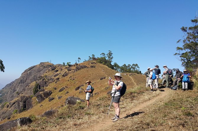 Trekking in Munnar - Quick hits