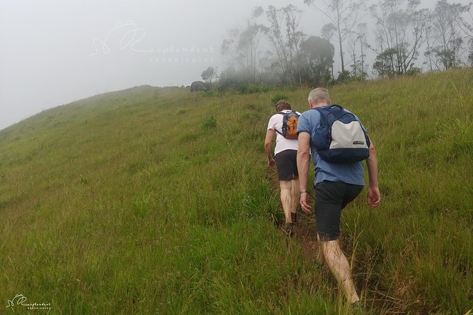 Trekking in Munnar - Price and value: what $17 buys you in Munnar