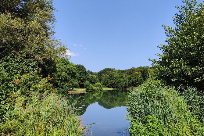 Trekking in the Wood with picnic on the turtles lake - Who this suits best (and who might not)