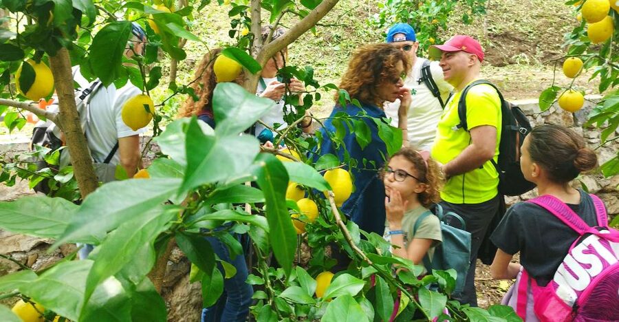Trekking Lemon Tour - Key things that make the Lemon Tour work