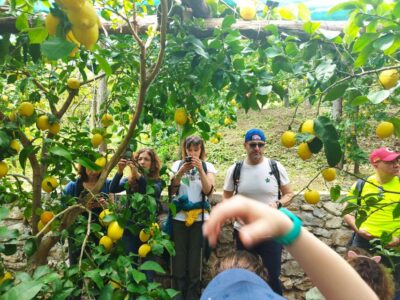 Trekking Lemon Tour - Raito and Santa Maria delle Grazie: the guided path into local life