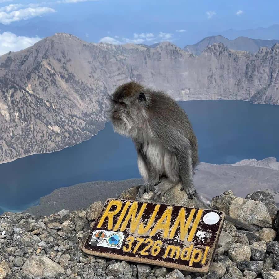 trekking mount rinjani summit join in group tour - Key highlights I’d anchor the trip around